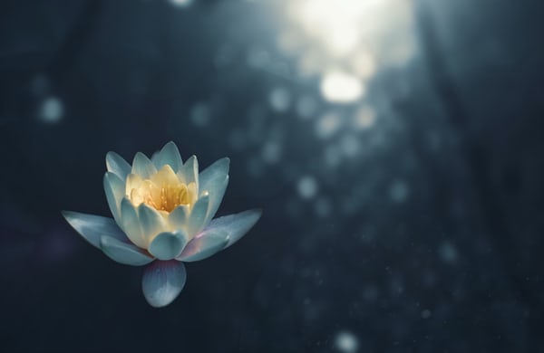 Own Your Breath